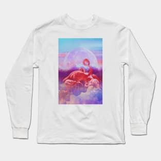 A dream about flamingos Long Sleeve T-Shirt